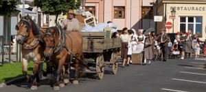 prace-mesta-neveklov-vystehovani.jpg